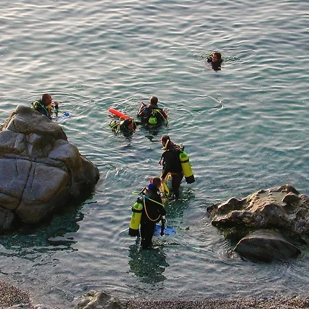 Diving Center Punta *