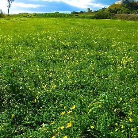 Apartment Diving Center Punta *
