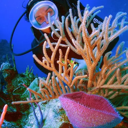 Apartment Diving Center Punta *