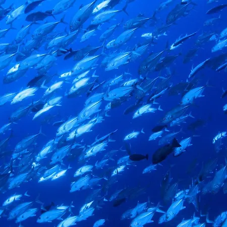 Apartment Diving Center Punta Stilo