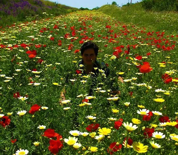 Diving Center Punta アパート *