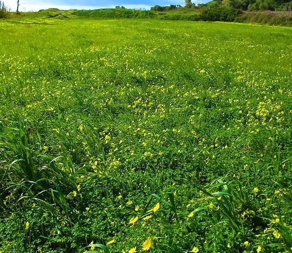 Appartamento Diving Center Punta *