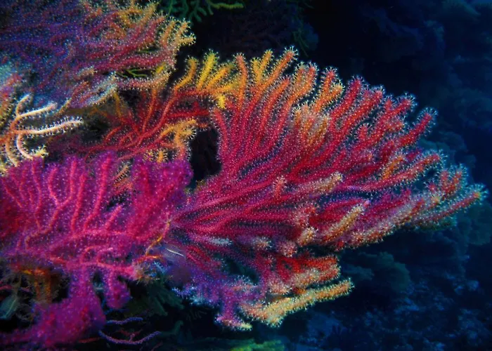 Diving Center Punta Appartamento Stilo