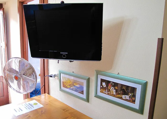 Diving Center Punta *